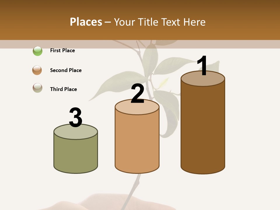 Isolated Hands Holding A New Tree With Green Leaves PowerPoint Template