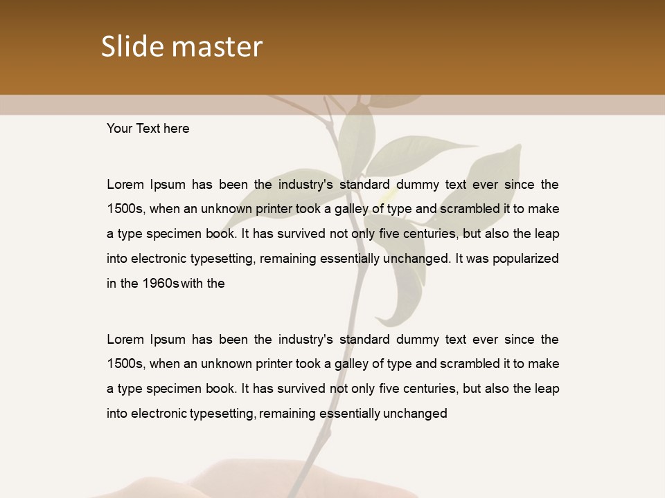 Isolated Hands Holding A New Tree With Green Leaves PowerPoint Template