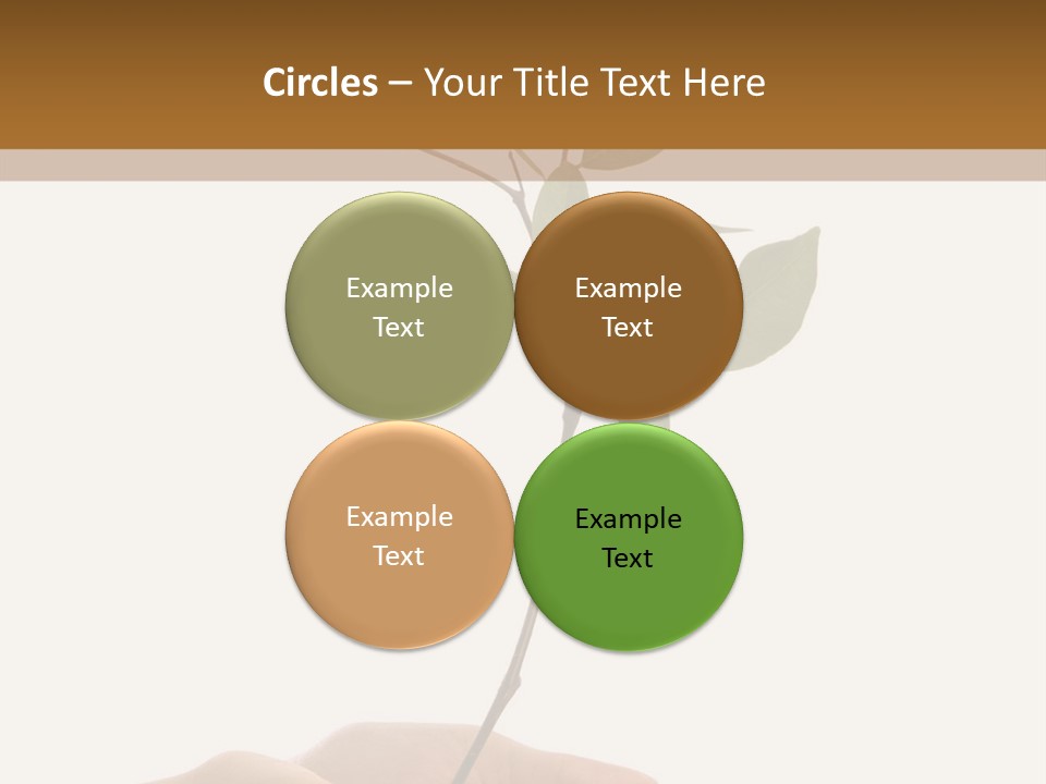 Isolated Hands Holding A New Tree With Green Leaves PowerPoint Template