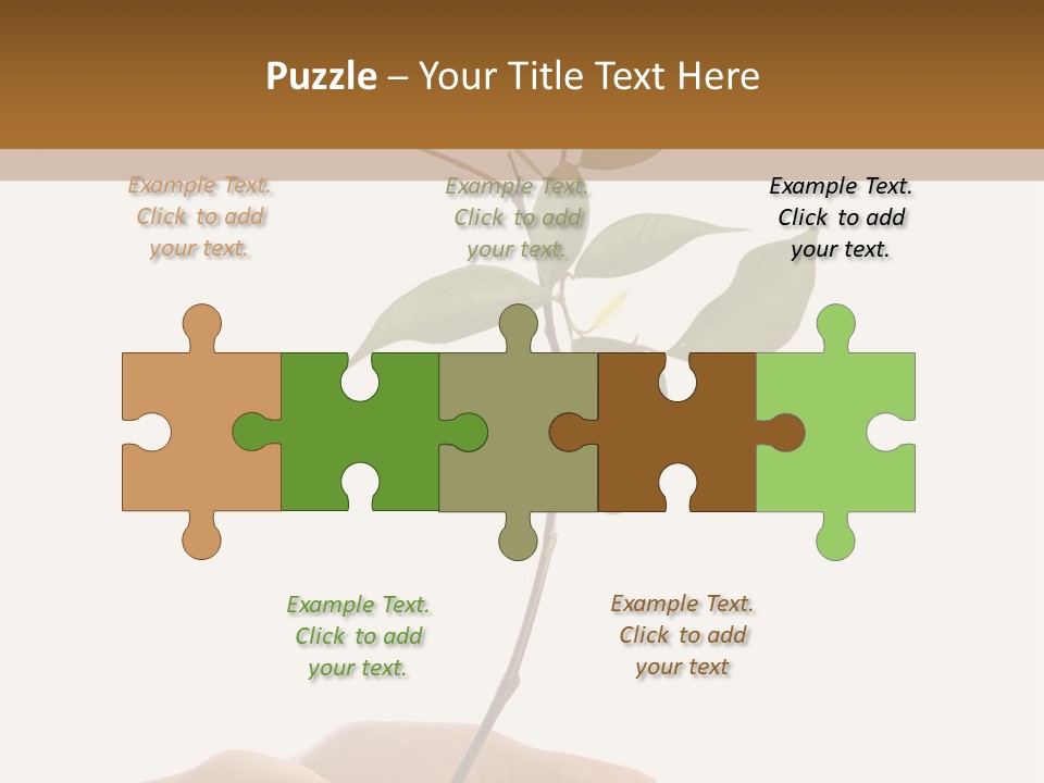 Isolated Hands Holding A New Tree With Green Leaves PowerPoint Template