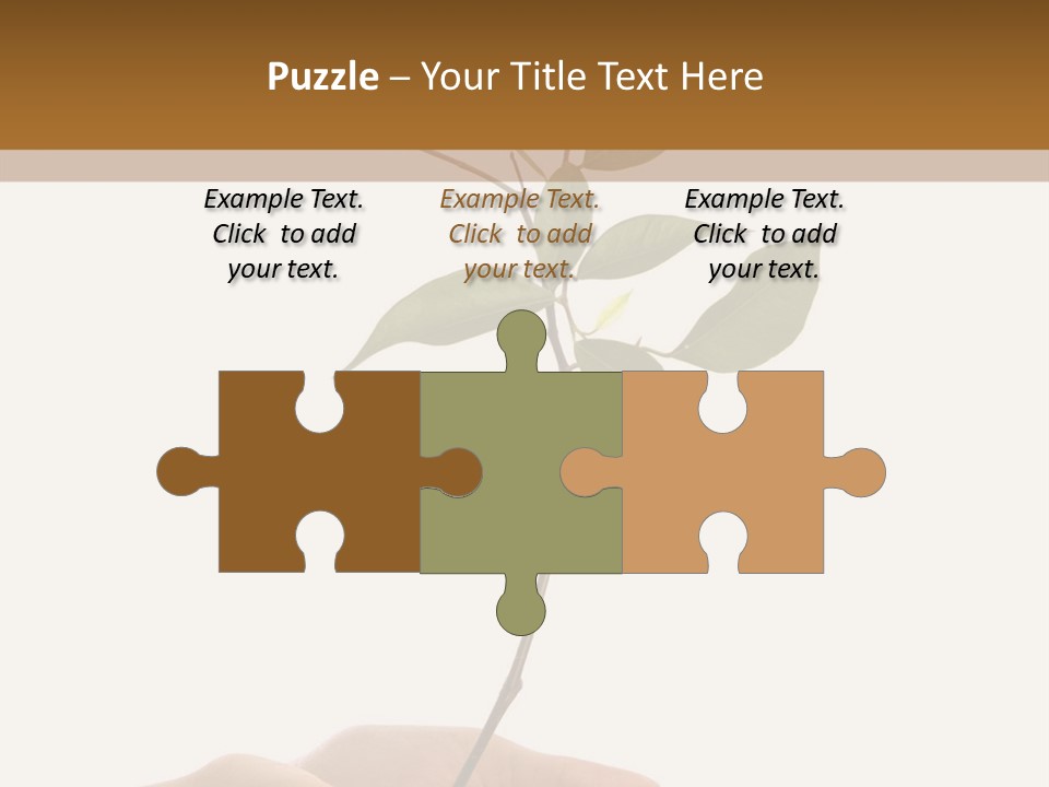 Isolated Hands Holding A New Tree With Green Leaves PowerPoint Template