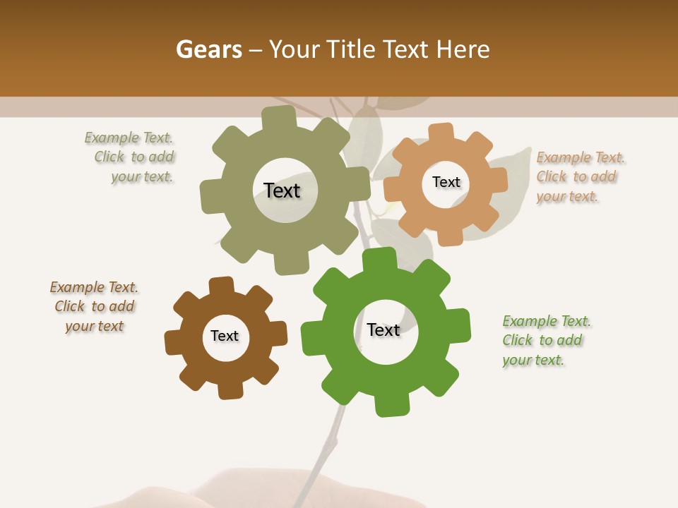 Isolated Hands Holding A New Tree With Green Leaves PowerPoint Template