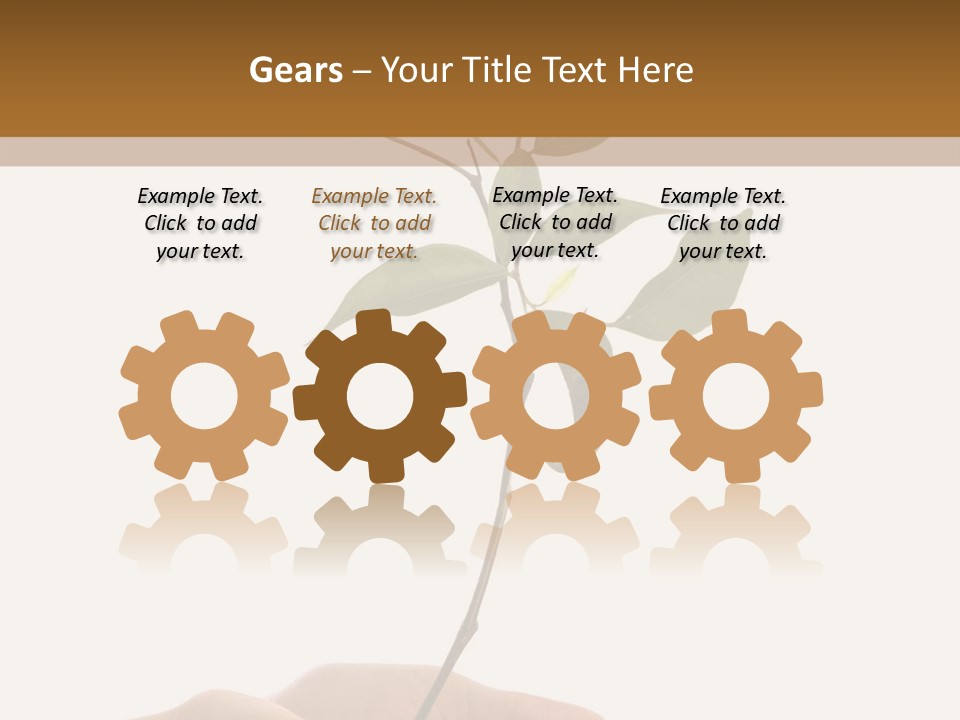 Isolated Hands Holding A New Tree With Green Leaves PowerPoint Template