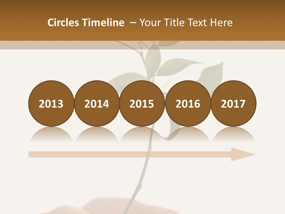 Isolated Hands Holding A New Tree With Green Leaves PowerPoint Template