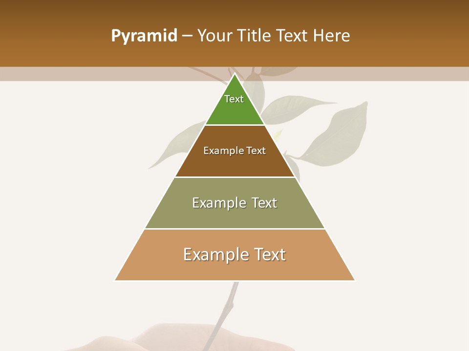 Isolated Hands Holding A New Tree With Green Leaves PowerPoint Template