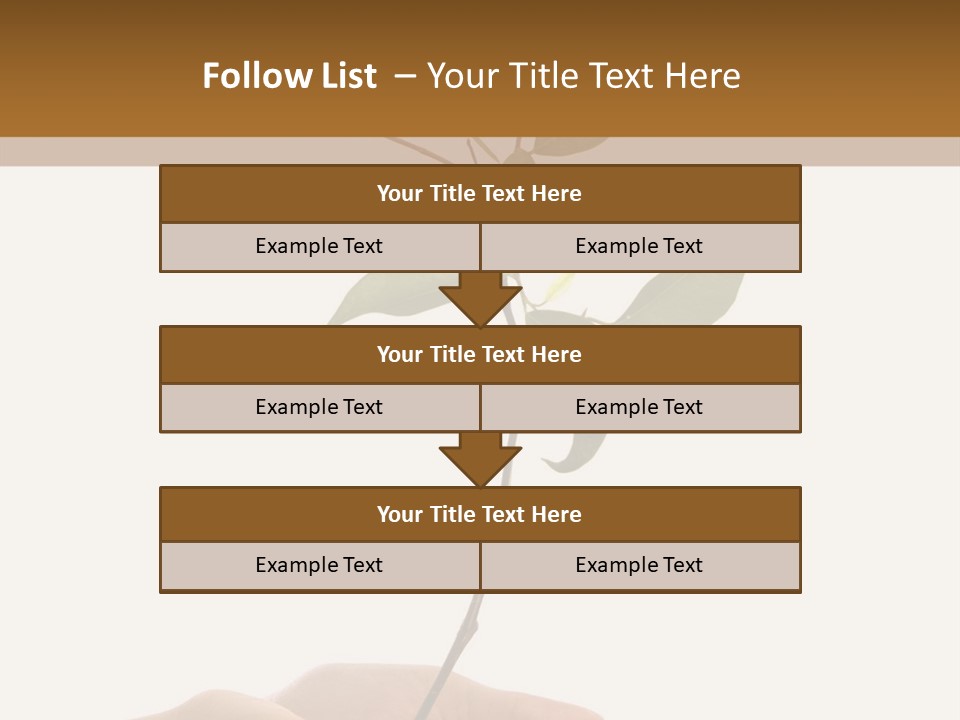 Isolated Hands Holding A New Tree With Green Leaves PowerPoint Template