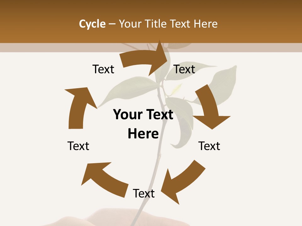 Isolated Hands Holding A New Tree With Green Leaves PowerPoint Template