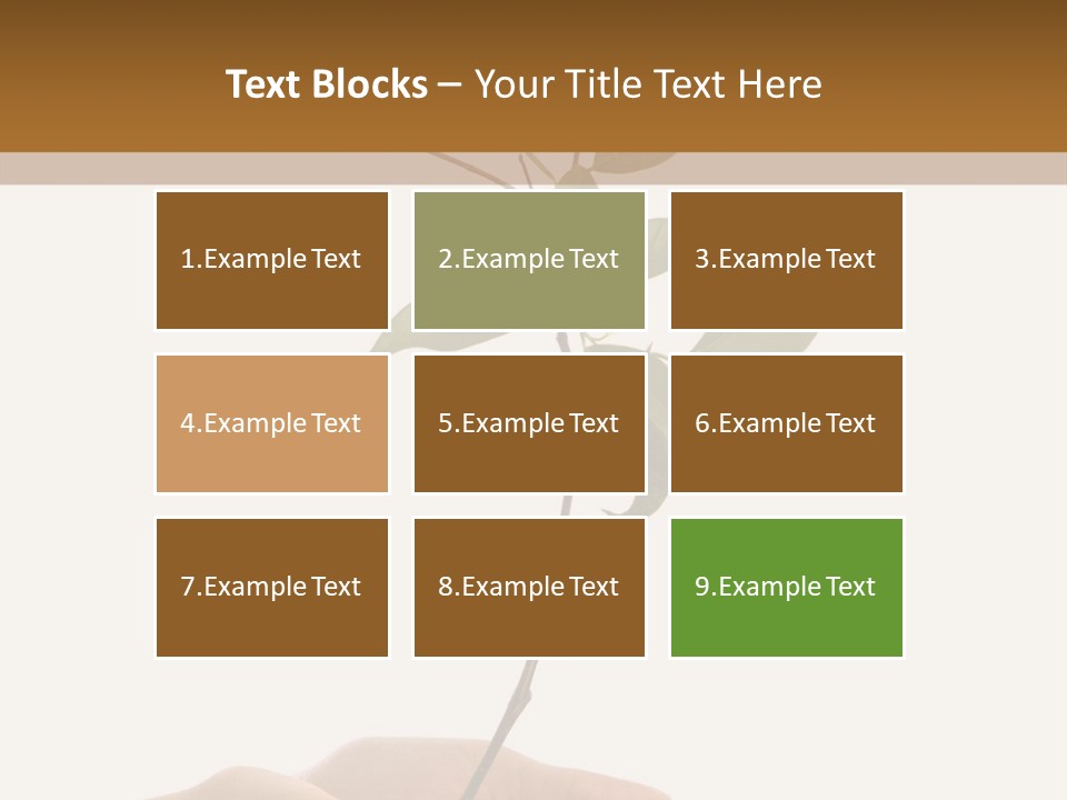 Isolated Hands Holding A New Tree With Green Leaves PowerPoint Template