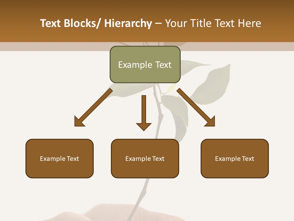 Isolated Hands Holding A New Tree With Green Leaves PowerPoint Template