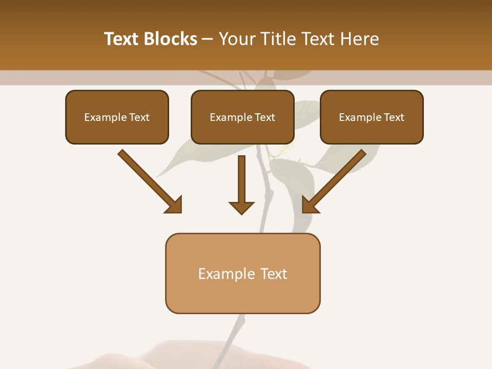 Isolated Hands Holding A New Tree With Green Leaves PowerPoint Template