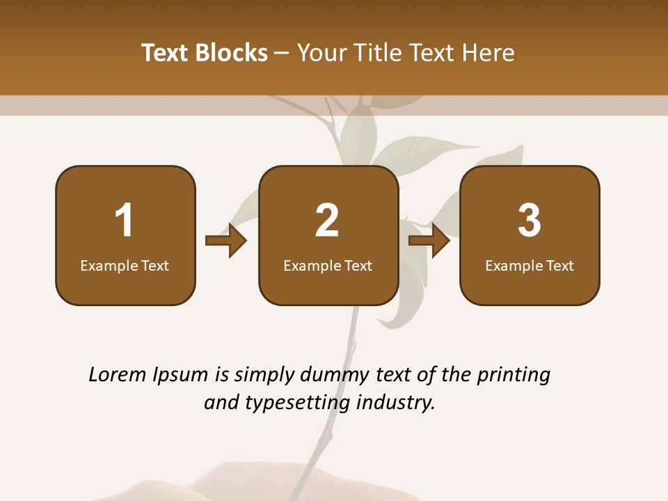 Isolated Hands Holding A New Tree With Green Leaves PowerPoint Template