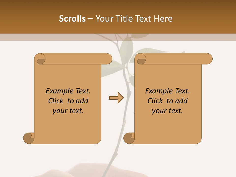 Isolated Hands Holding A New Tree With Green Leaves PowerPoint Template