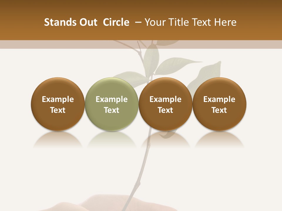 Isolated Hands Holding A New Tree With Green Leaves PowerPoint Template