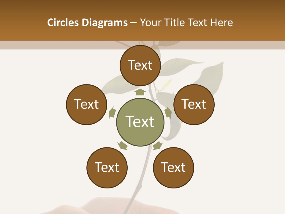 Isolated Hands Holding A New Tree With Green Leaves PowerPoint Template