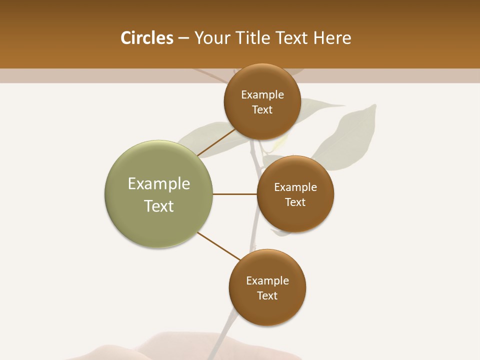 Isolated Hands Holding A New Tree With Green Leaves PowerPoint Template