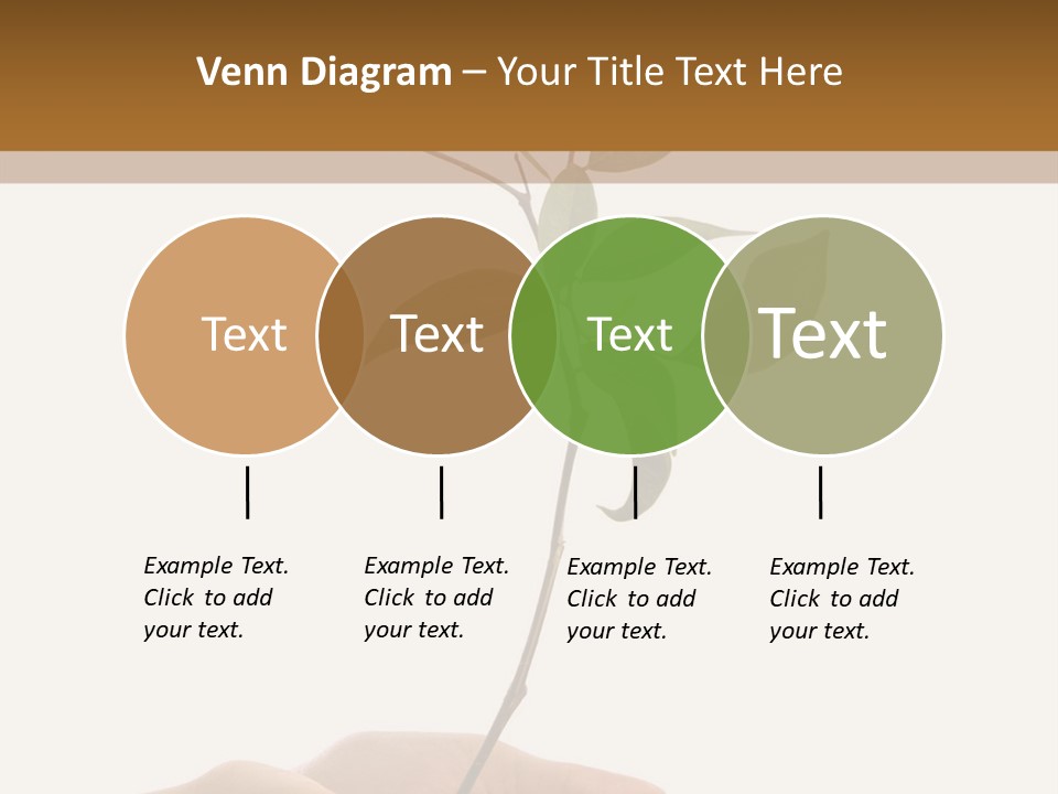 Isolated Hands Holding A New Tree With Green Leaves PowerPoint Template