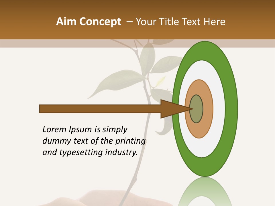 Isolated Hands Holding A New Tree With Green Leaves PowerPoint Template