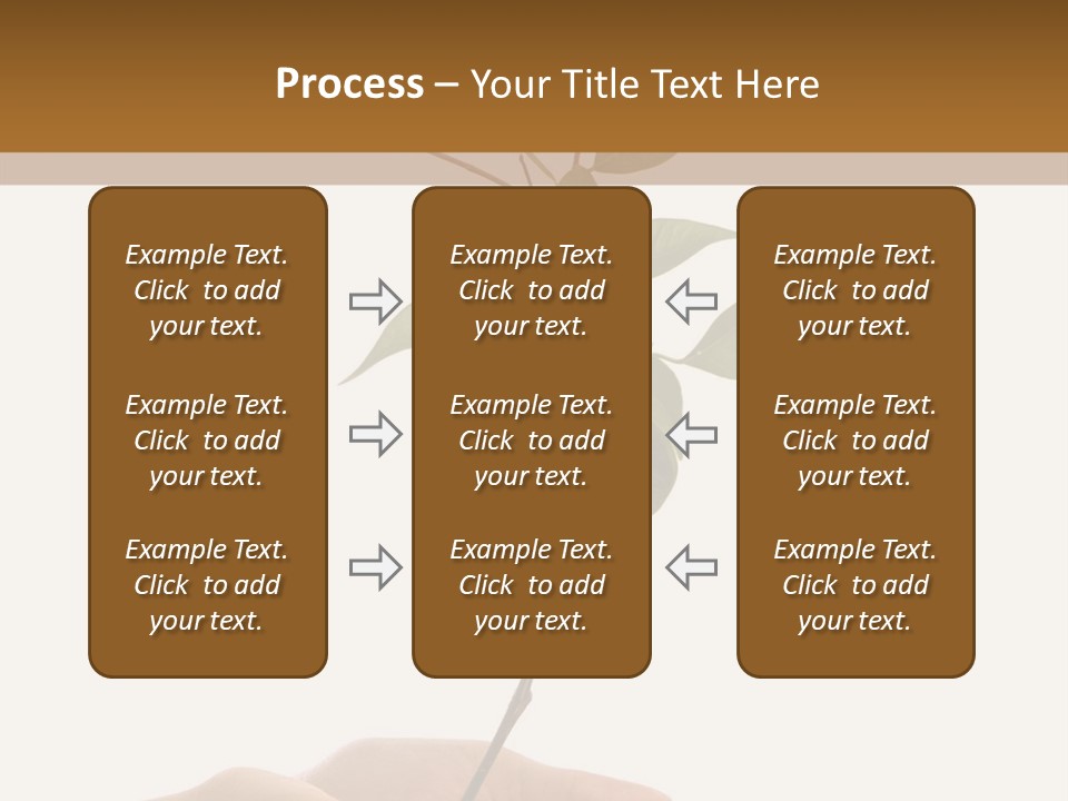 Isolated Hands Holding A New Tree With Green Leaves PowerPoint Template