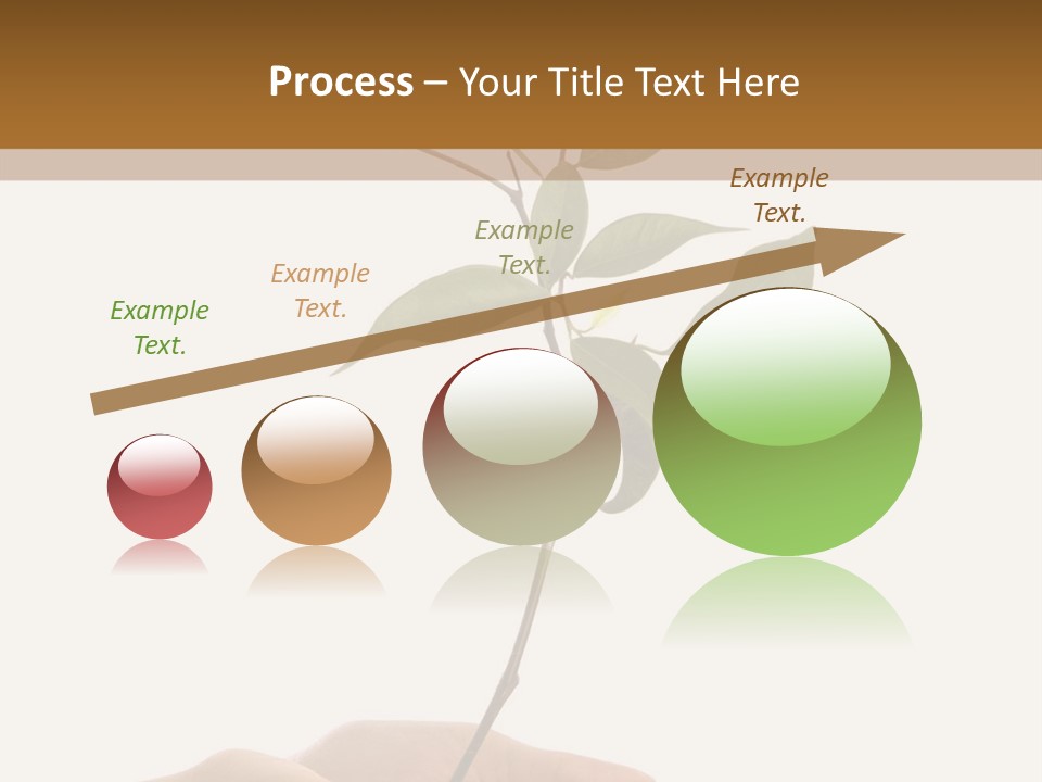 Isolated Hands Holding A New Tree With Green Leaves PowerPoint Template