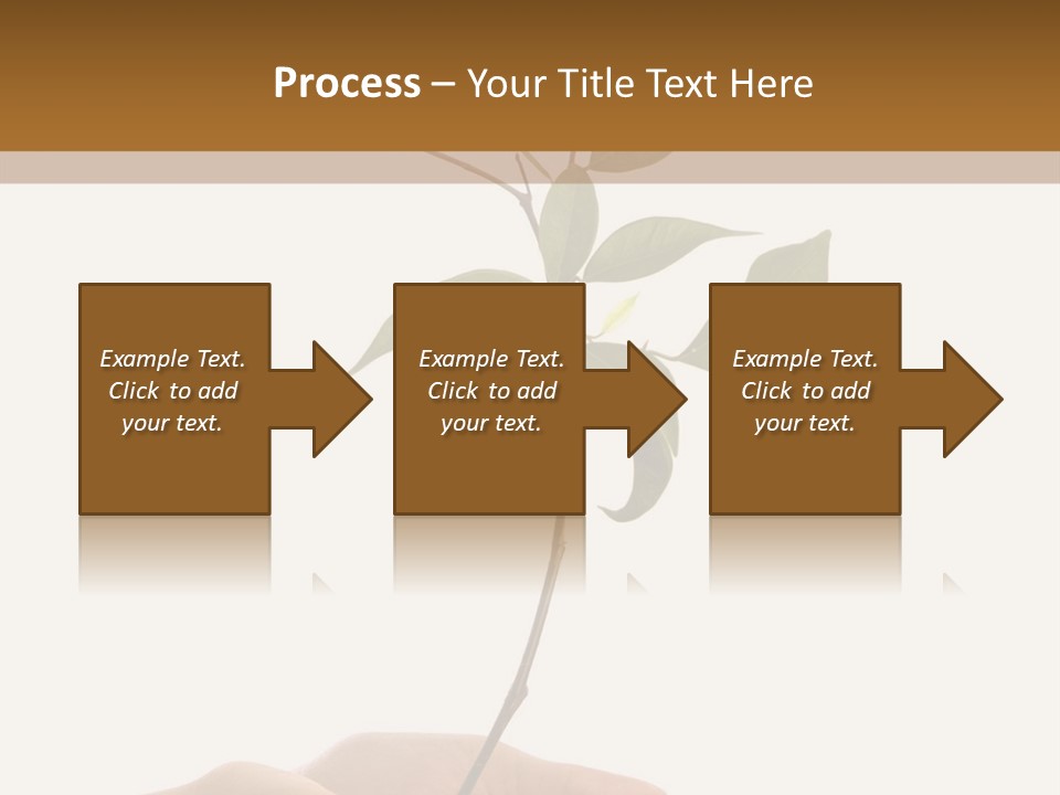 Isolated Hands Holding A New Tree With Green Leaves PowerPoint Template