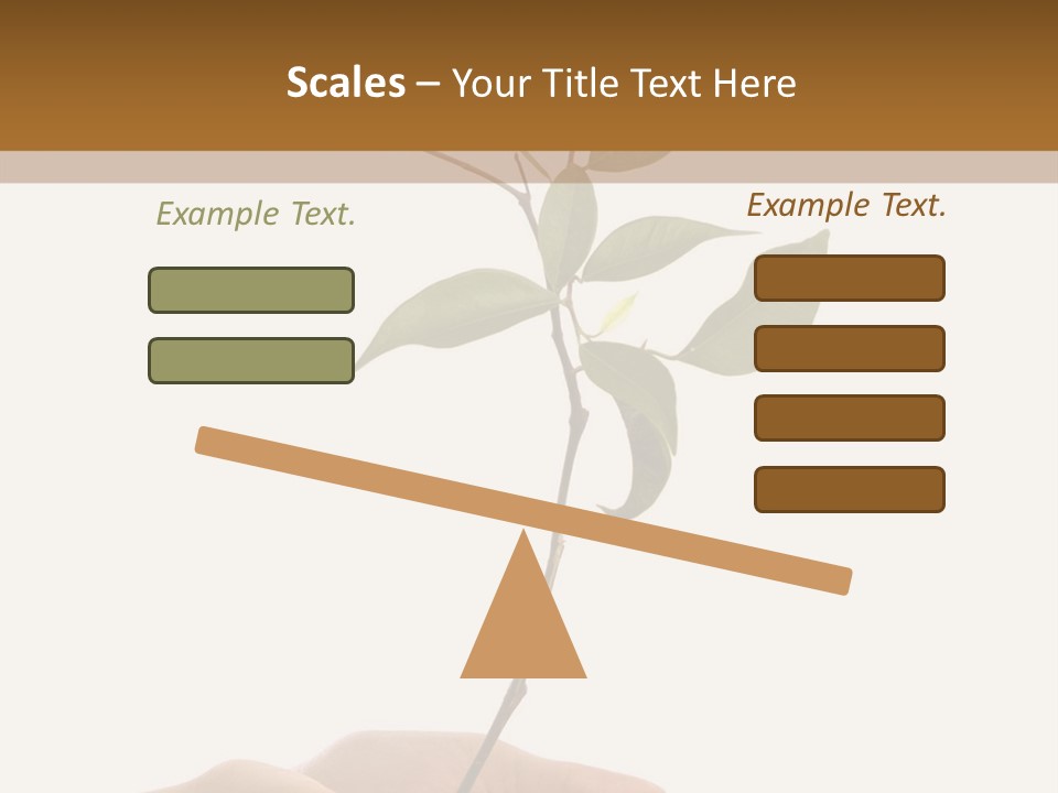 Isolated Hands Holding A New Tree With Green Leaves PowerPoint Template