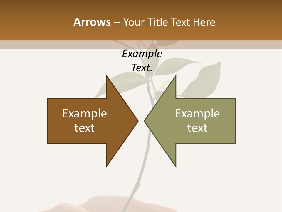 Isolated Hands Holding A New Tree With Green Leaves PowerPoint Template