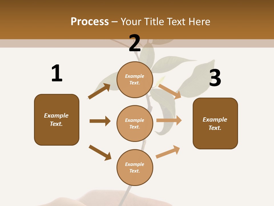 Isolated Hands Holding A New Tree With Green Leaves PowerPoint Template