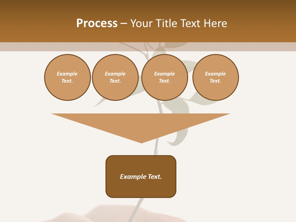 Isolated Hands Holding A New Tree With Green Leaves PowerPoint Template