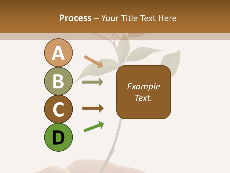 Isolated Hands Holding A New Tree With Green Leaves PowerPoint Template