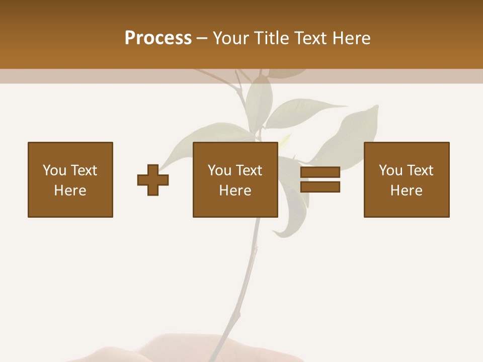 Isolated Hands Holding A New Tree With Green Leaves PowerPoint Template