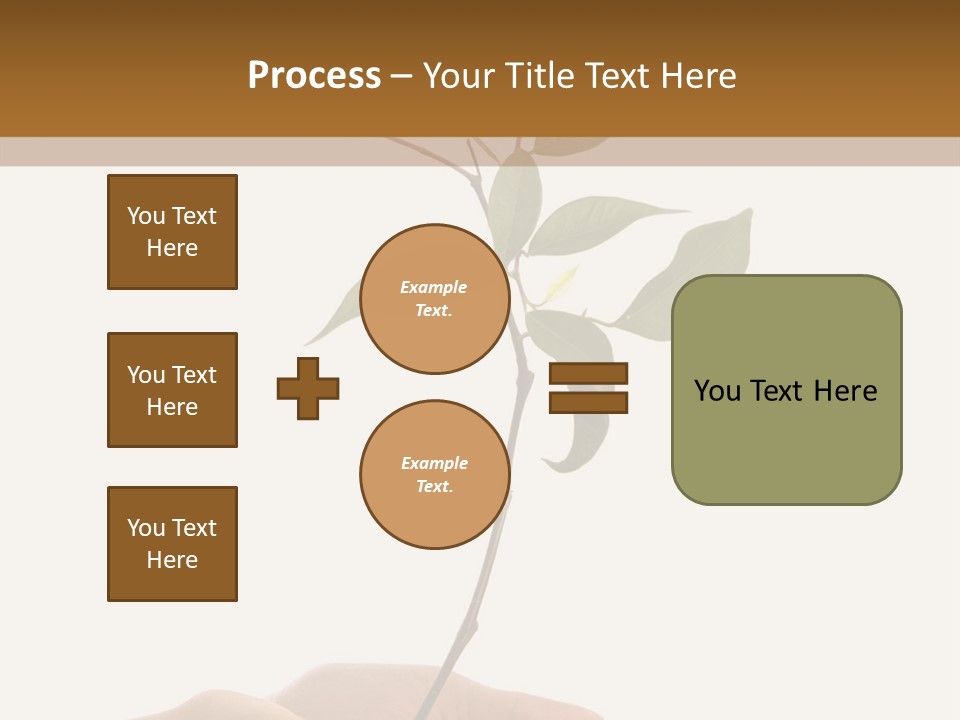Isolated Hands Holding A New Tree With Green Leaves PowerPoint Template