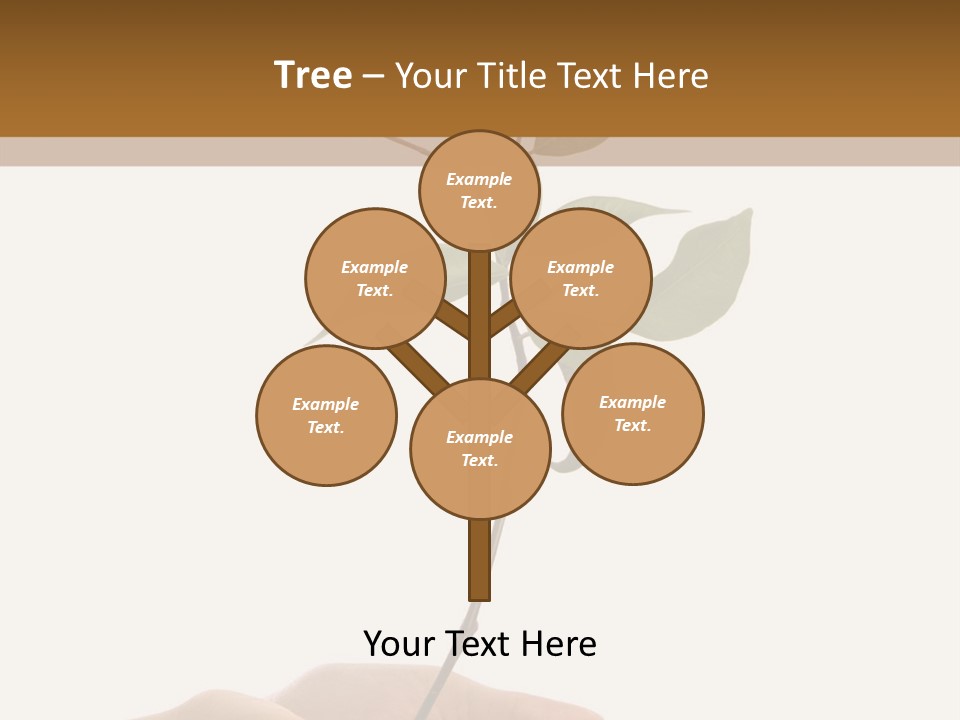 Isolated Hands Holding A New Tree With Green Leaves PowerPoint Template