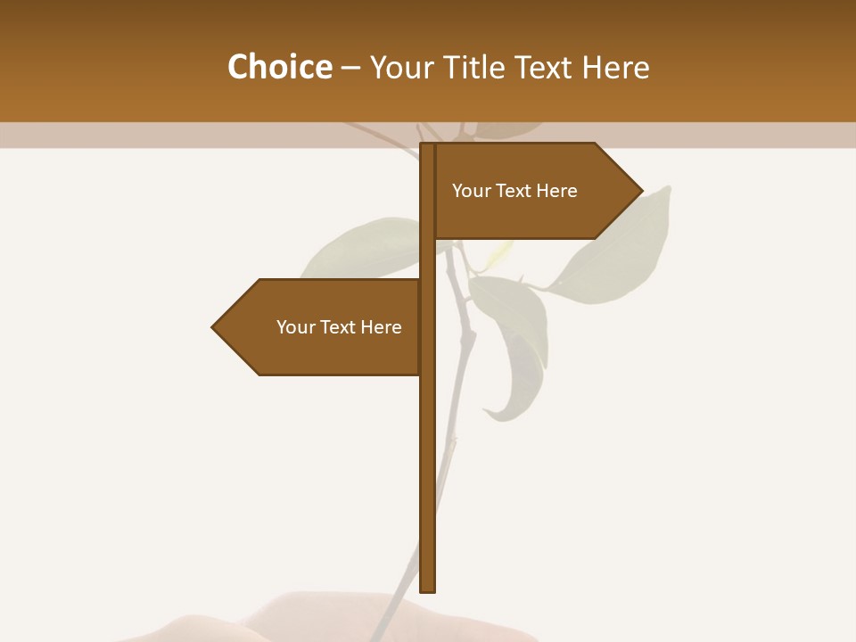 Isolated Hands Holding A New Tree With Green Leaves PowerPoint Template