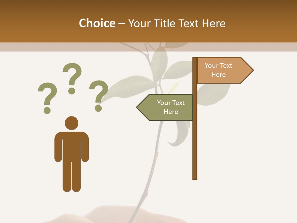 Isolated Hands Holding A New Tree With Green Leaves PowerPoint Template