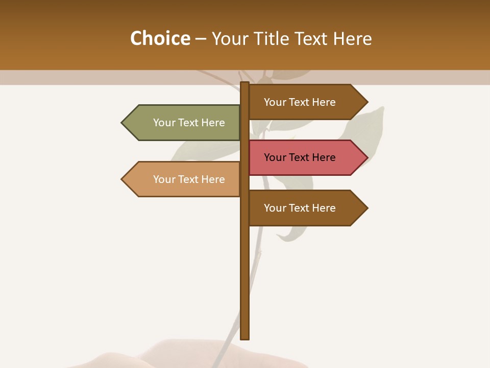 Isolated Hands Holding A New Tree With Green Leaves PowerPoint Template