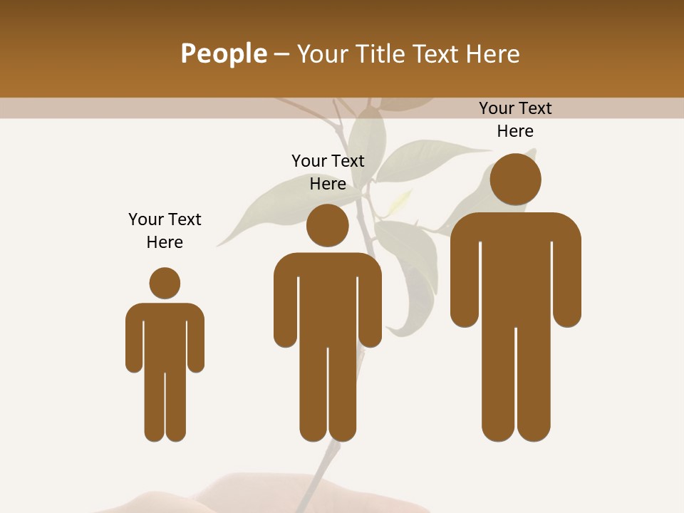 Isolated Hands Holding A New Tree With Green Leaves PowerPoint Template