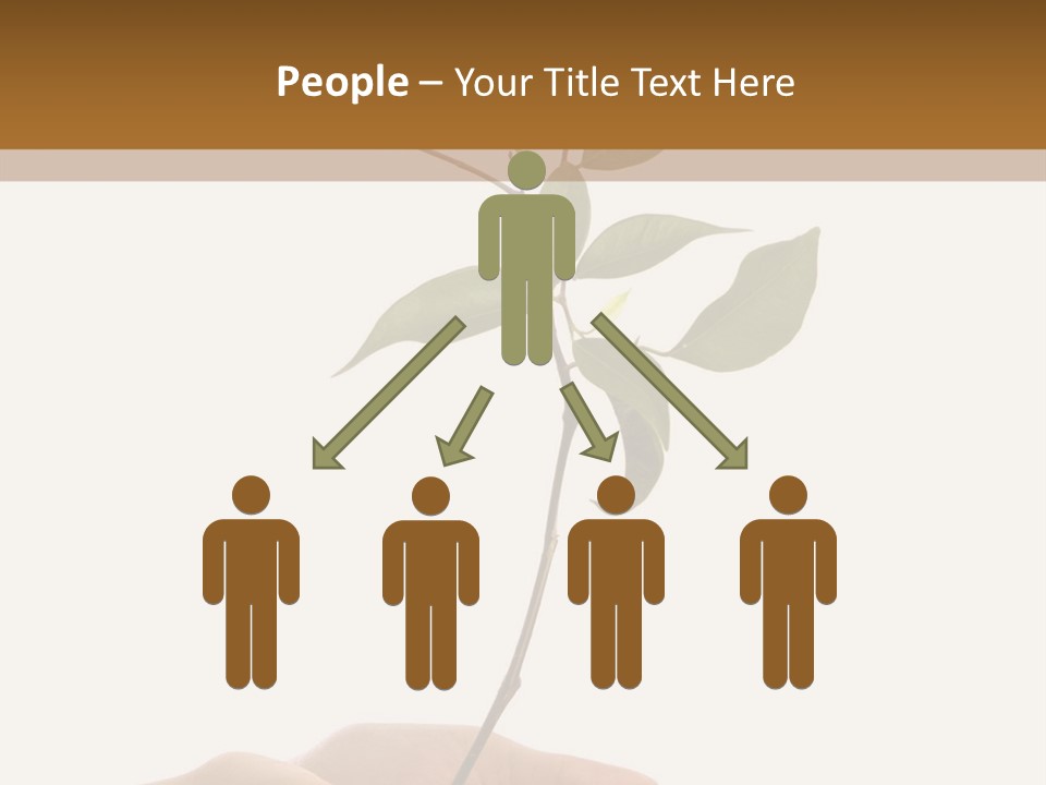 Isolated Hands Holding A New Tree With Green Leaves PowerPoint Template