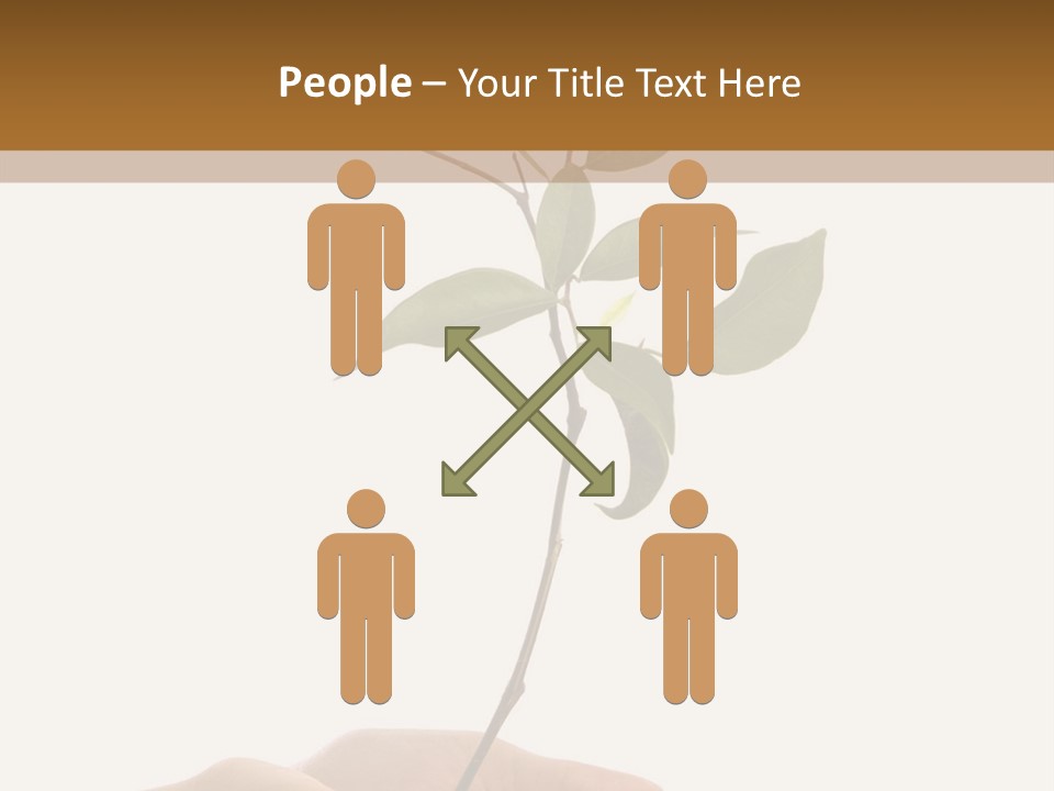 Isolated Hands Holding A New Tree With Green Leaves PowerPoint Template