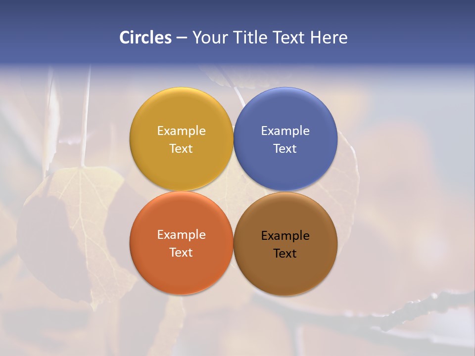 Sea Fruits Risotto On A Mud Pot . PowerPoint Template