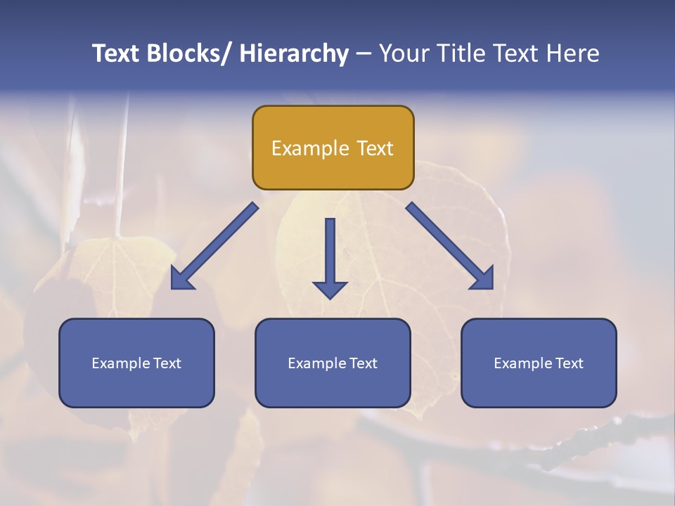 Sea Fruits Risotto On A Mud Pot . PowerPoint Template
