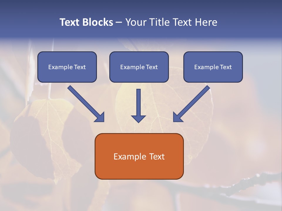 Sea Fruits Risotto On A Mud Pot . PowerPoint Template