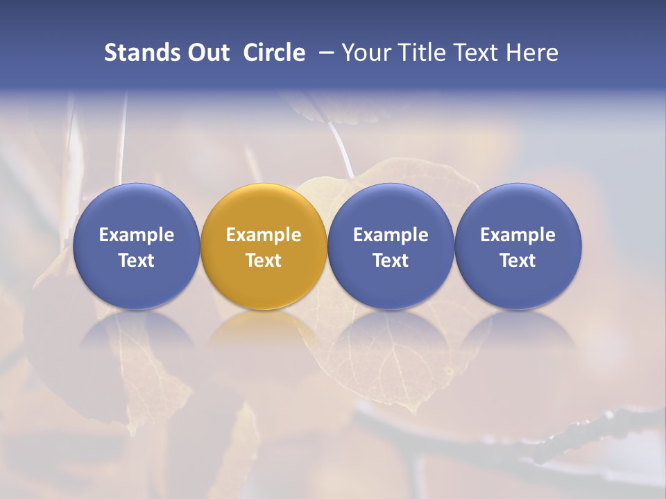 Sea Fruits Risotto On A Mud Pot . PowerPoint Template