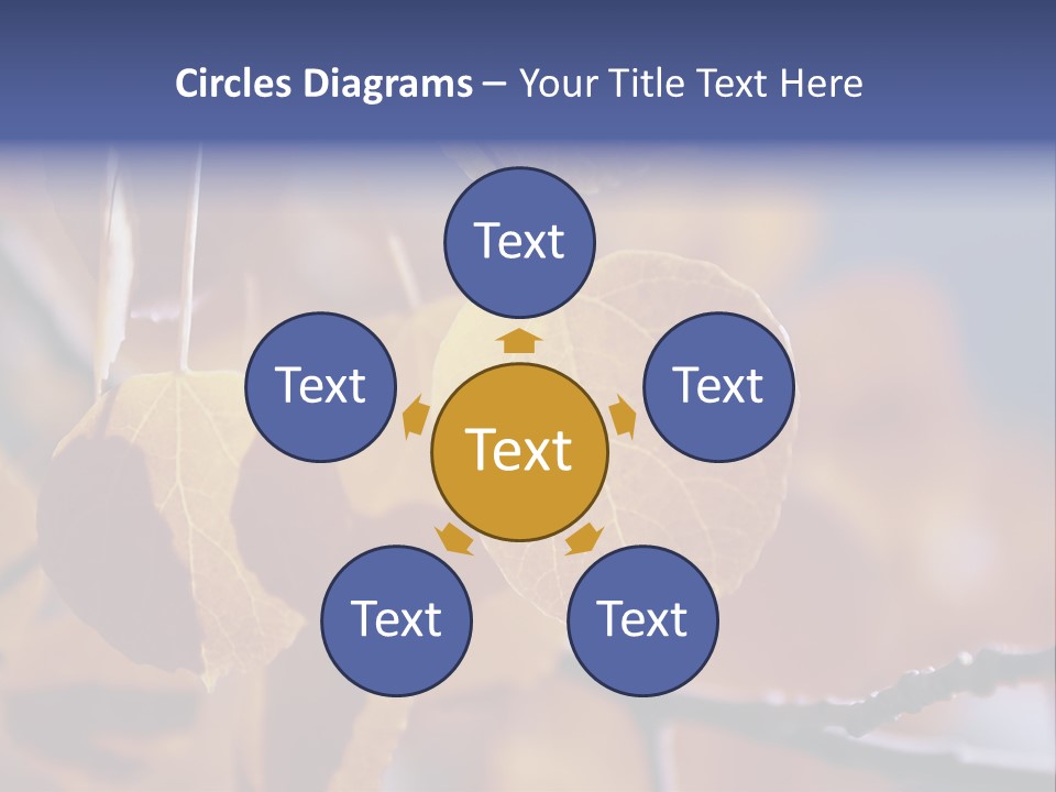 Sea Fruits Risotto On A Mud Pot . PowerPoint Template