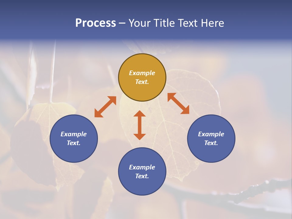 Sea Fruits Risotto On A Mud Pot . PowerPoint Template