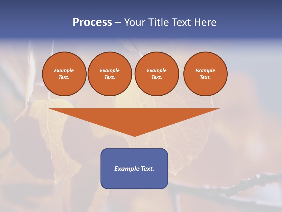 Sea Fruits Risotto On A Mud Pot . PowerPoint Template