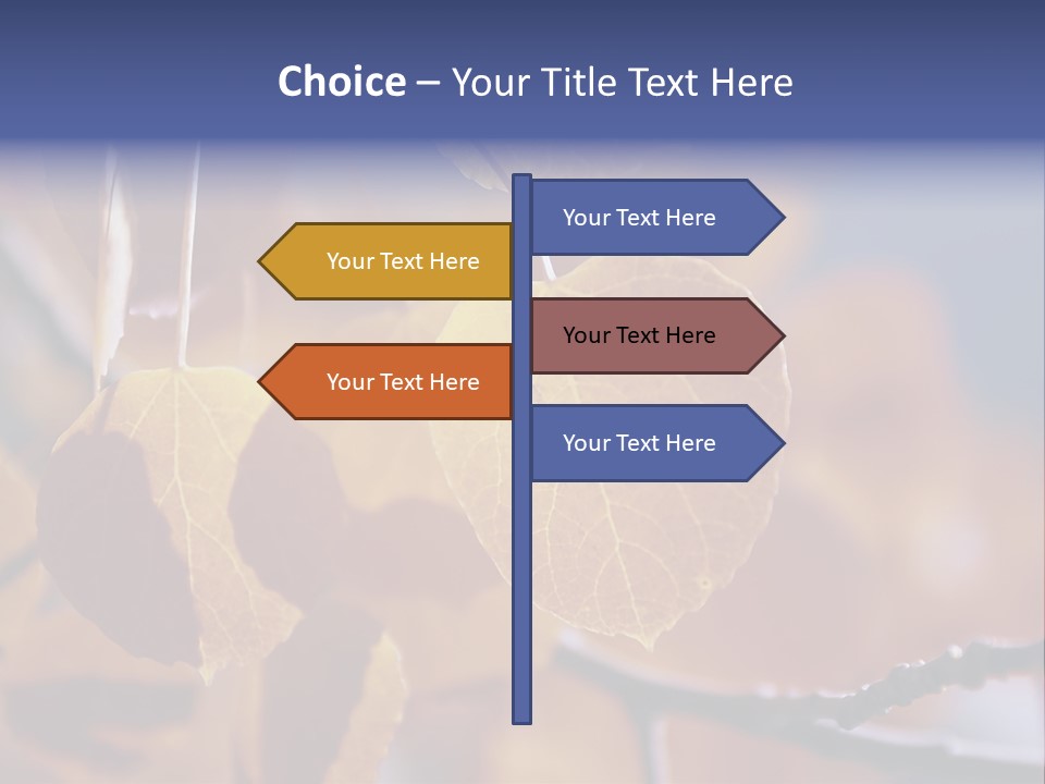 Sea Fruits Risotto On A Mud Pot . PowerPoint Template