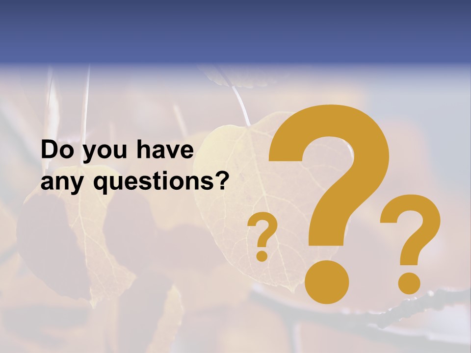 Sea Fruits Risotto On A Mud Pot . PowerPoint Template