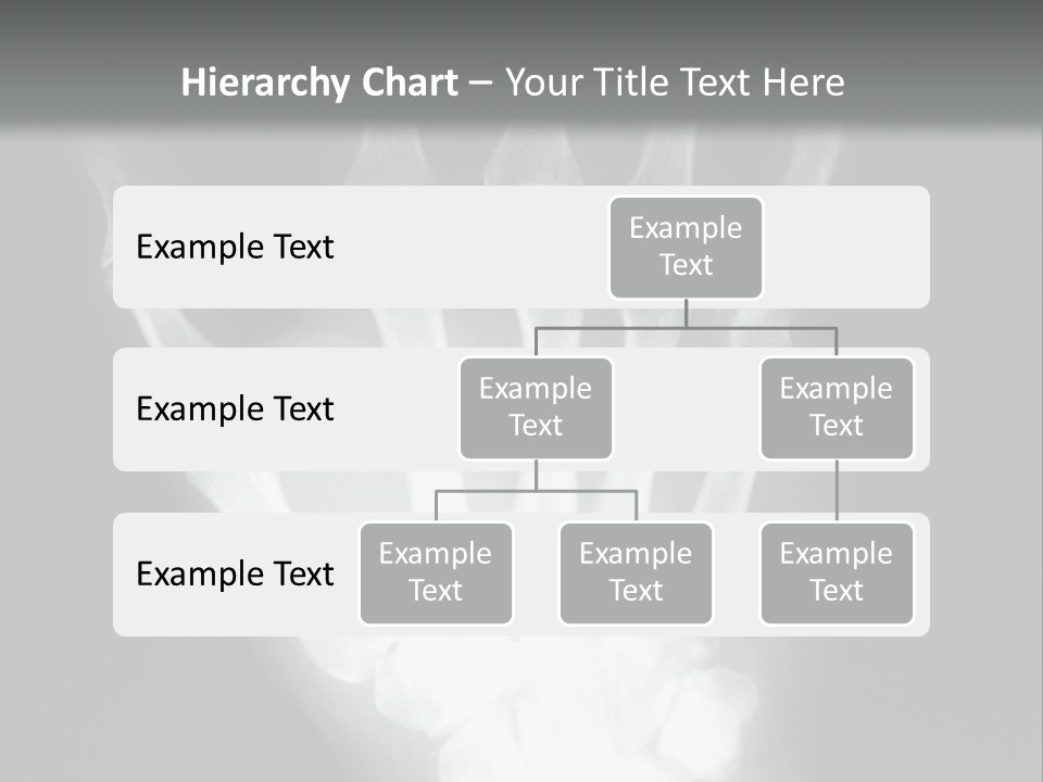 A Skeleton Hand Is Shown In This Presentation PowerPoint Template