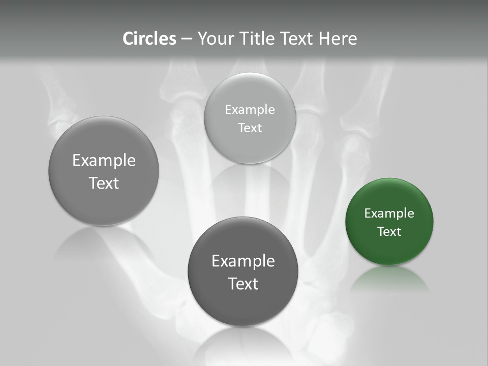 A Skeleton Hand Is Shown In This Presentation PowerPoint Template
