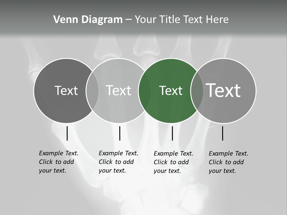 A Skeleton Hand Is Shown In This Presentation PowerPoint Template